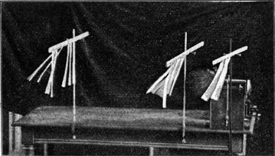 Exner's artificial buzzard in action